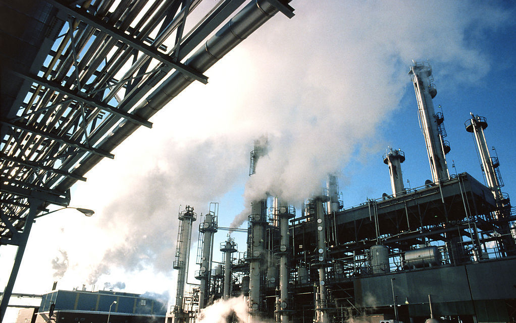 ������Ŀ